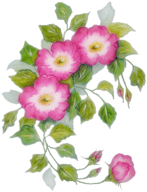 gify i jpg kwiaty animacje - róża1 27.gif