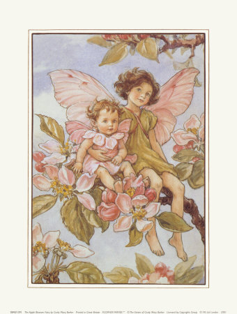 Fantazja - C.M. BarkerThe-Apple-Blossom-Fairy-Posters.jpg