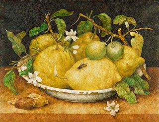 Giovanna Garzoni - 17 Giovanna Garzoni Italian Baroque Era Painter, 1600-1670  Bowl of Citrons 1640.jpg