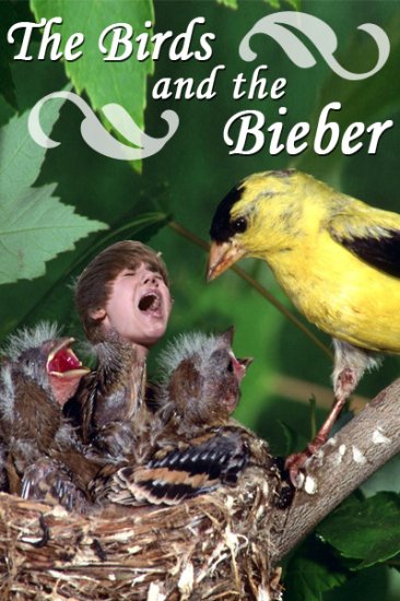 Biebermania- fotki i przeróbki - birdsandbieber.jpg