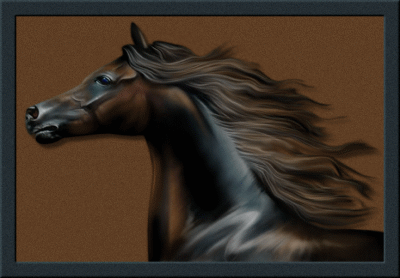 Gify-konie - zwierze kon ramka57038.gif
